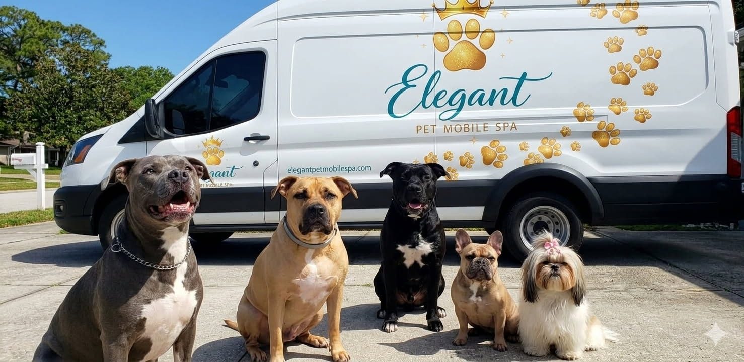 Our family dogs sitting in front of the Elegant Pet Mobile Spa van